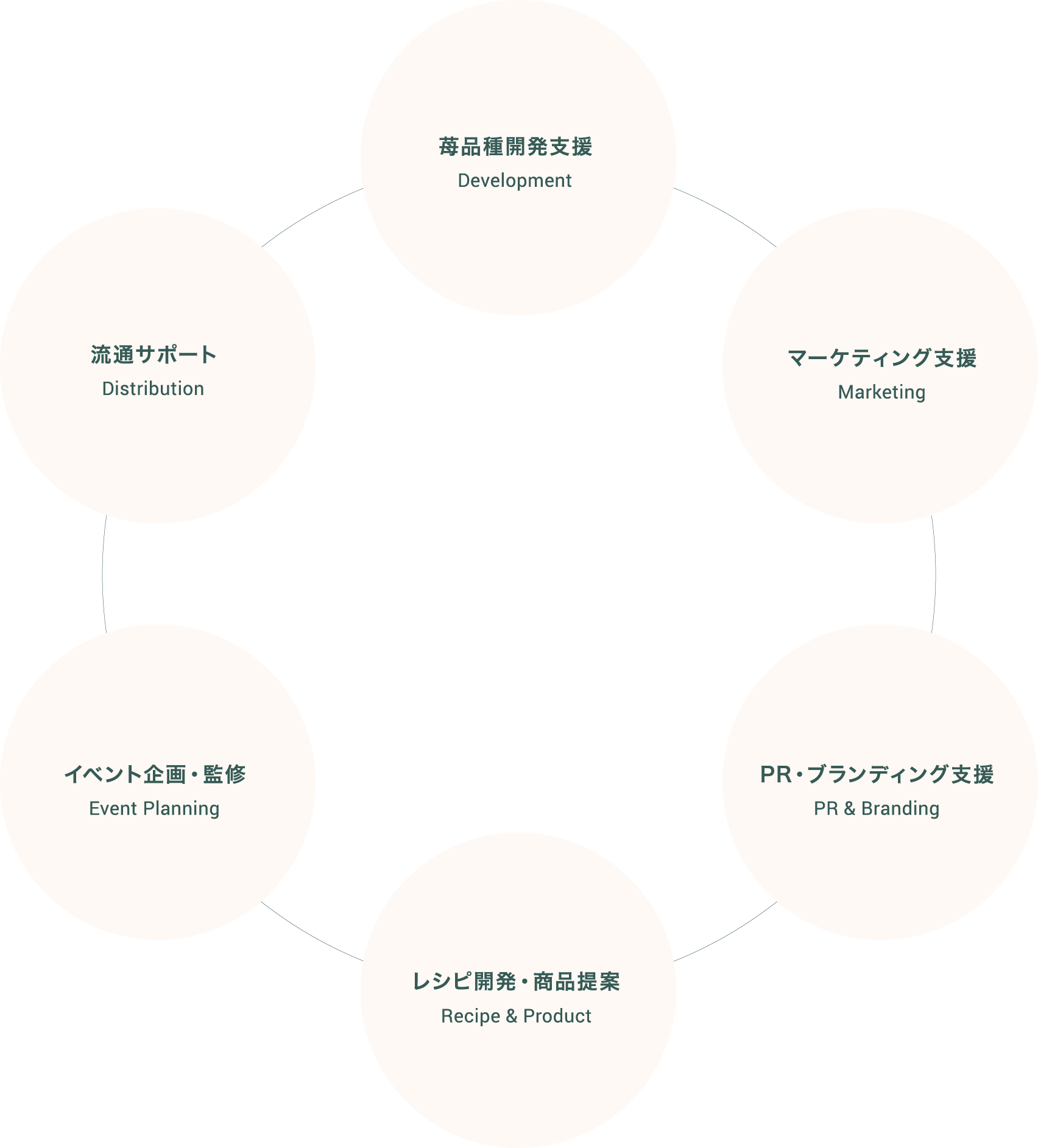 サポート領域 Support Areas